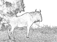 wildebeest Maimprinta Nga Mga Panid Sa Kolor